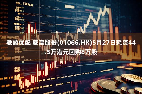 驰盈优配 威高股份(01066.HK)5月27日耗资44.5万港元回购8万股