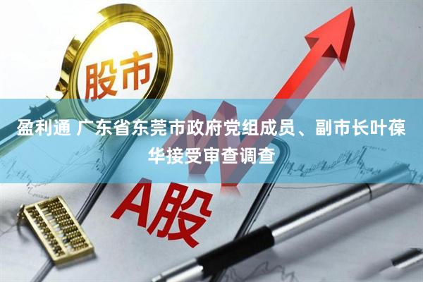 盈利通 广东省东莞市政府党组成员、副市长叶葆华接受审查调查
